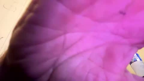 maverick7000 online show from October 9, 3:11 am