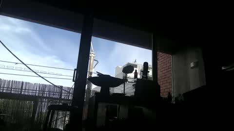 mazl0w online show from December 27, 6:03 am