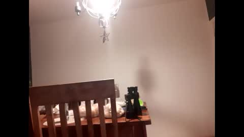 mccock16cm online show from February 16, 3:47 am