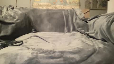 melt13 online show from February 14, 9:15 am