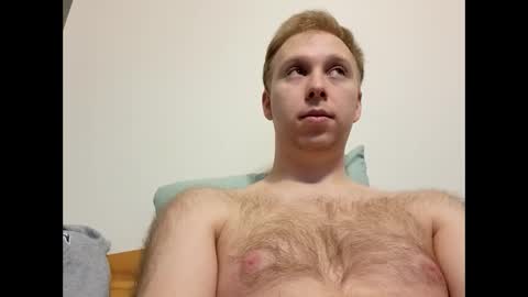 meow732 online show from November 2, 7:40 pm