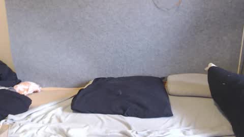 Michael online show from February 16, 10:02 am