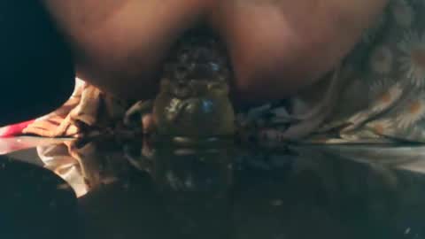 Bescior online show from October 5, 2:21 pm