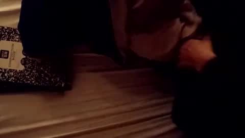 9POUNDHAMMER online show from April 26, 9:28 am