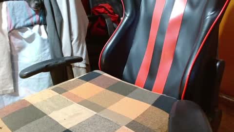 Mario jose online show from January 31, 2:48 am