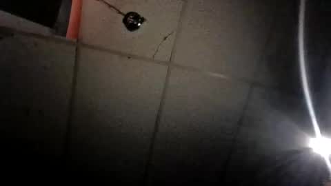 Pnisxxl online show from March 12, 3:24 am