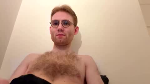 molliter online show from February 1, 1:48 am