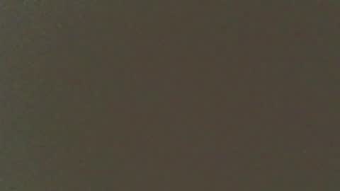 moma1111 online show from April 11, 4:21 pm