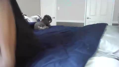 moneyboysaveg548 online show from November 13, 4:22 pm