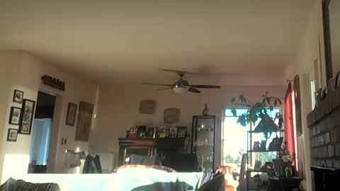 Monkee Dance online show from March 8, 1:04 am