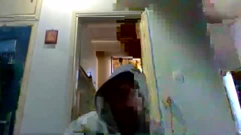 mppempis81 online show from February 3, 6:22 am