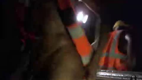 MrBigDiQ1 online show from February 23, 11:04 pm