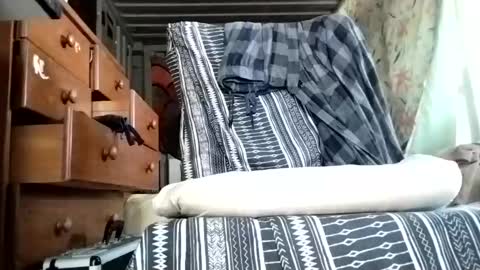 mrhotcock7inch online show from December 22, 3:11 am