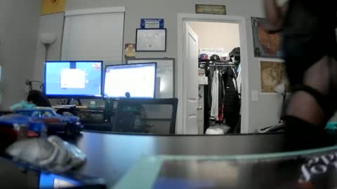 Longbi1 online show from January 14, 2:19 am