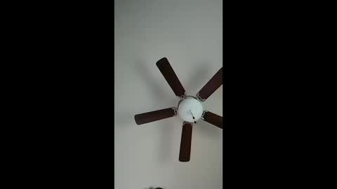 mrorange50187 online show from December 18, 10:13 pm