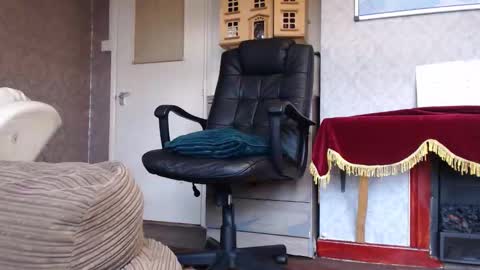 Mr. Dan online show from November 4, 12:39 pm