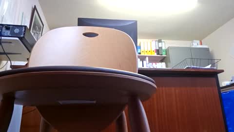 mrtributer2026 online show from February 13, 10:53 am