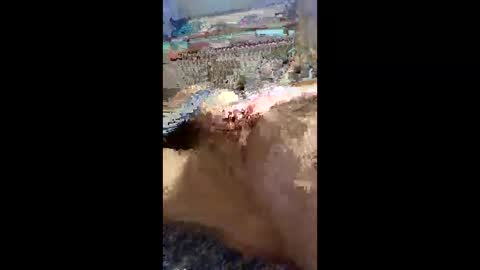 mullig1957 online show from April 19, 8:22 pm