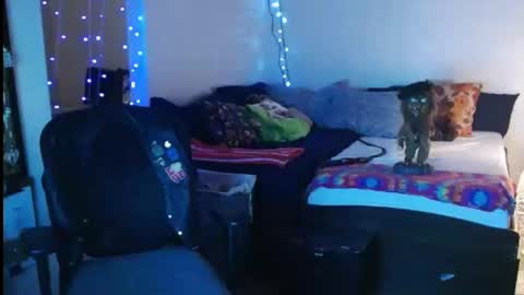 Snapshot of mycock4u247 chatting on February 16, 11:49 am LA MARIPOSA DE MARICOPA online show from February 16, 11:49 am