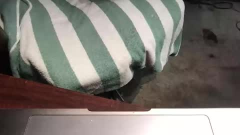 Snapshot of mythickness chatting on January 15, 1:56 am mythickness online show from January 15, 1:56 am