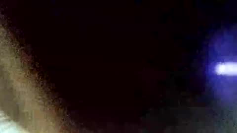 Snapshot of n9nature chatting on December 18, 7:15 am n9nature online show from December 18, 7:15 am