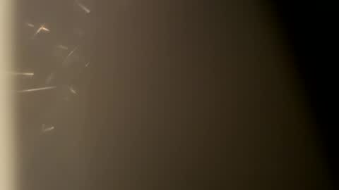 Snapshot of nairda2senoniuq chatting on February 1, 12:18 am nairda2senoniuq online show from February 1, 12:18 am