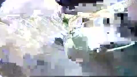 Nane online show from January 9, 2:00 pm