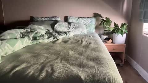 nastro82 online show from November 2, 7:01 am