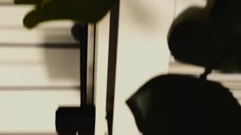 neon xxx online show from October 30, 1:45 pm