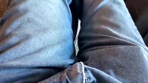 newjerseyhorny online show from January 19, 3:25 pm