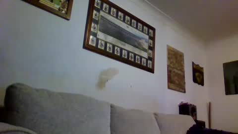 Snapshot of niceozziecockxxx chatting on March 7, 9:59 pm Sexiishaine online show from March 7, 9:59 pm