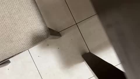 Carlos Nico online show from March 2, 9:05 am