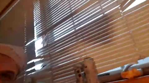 Clutch online show from December 2, 4:10 pm