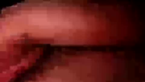 njav77 online show from August 8, 4:30 am