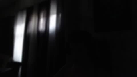 Sebastian online show from January 23, 12:30 pm