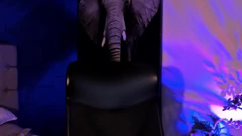 Noah Brigth online show from November 9, 2:15 am