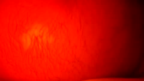 norbitomii online show from September 24, 11:03 pm