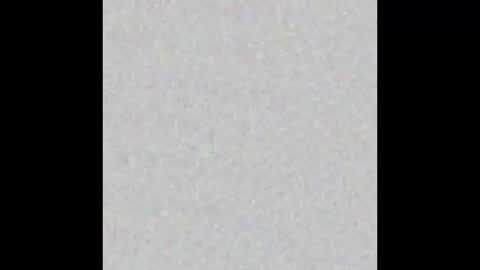 Obsidian stallion online show from December 21, 5:21 pm