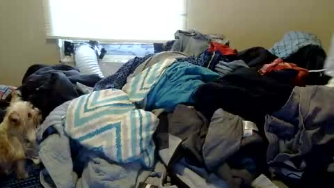 oscar flores online show from November 30, 1:46 pm