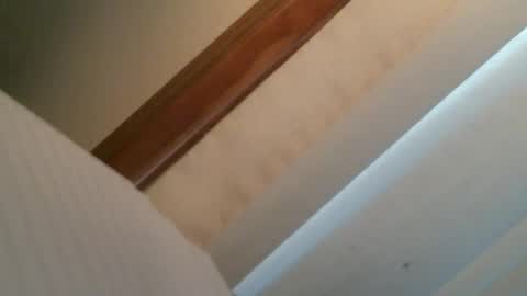 olddognewtrickss online show from September 11, 8:41 pm