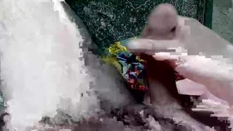 Horny Oldman online show from January 19, 4:44 am