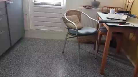 oldersagger online show from February 23, 3:47 pm