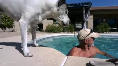 oldmanmeataz online show from June 17, 11:06 pm