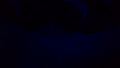 Snapshot of orgazim123 chatting on October 29, 10:07 am orgazim online show from October 29, 10:07 am