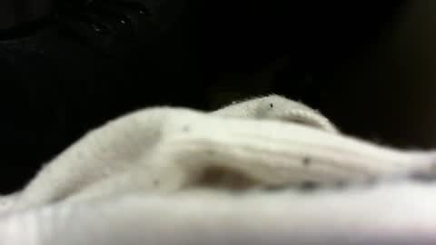 Pablo Meness online show from February 12, 10:15 pm