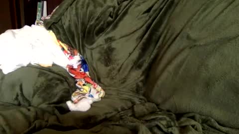 paintdude424 online show from September 9, 3:33 pm