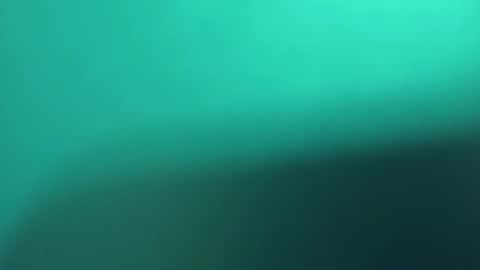   PALA online show from March 8, 11:18 pm