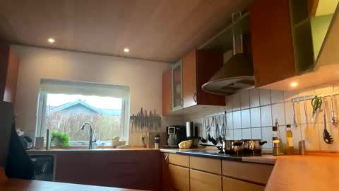 panicage online show from January 17, 12:19 pm