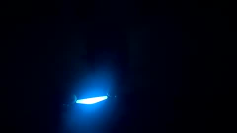 panthers_room online show from January 20, 9:35 am