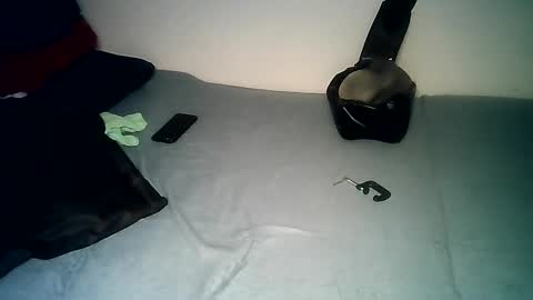 Snapshot of pantslesstraveler_plt chatting on December 14, 7:46 pm PantsLessTraveler online show from December 14, 7:46 pm